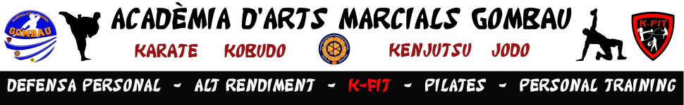 Logo de Dojo Virtual TKFI Pirineus